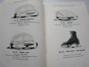 ORIGINAL 1930 ICE SKATES TRADE CATALOGUE  (9)