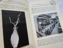 1929 CAPE HILL BREWERY BIRMINGHAM Mitchells & Butlers Souvenir Book BREWING BEER  (9)
