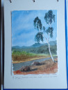 1989 1994 AUSTRALIAN TOURS in 29 Original Water Colour Paintings Manuscript Book  (5)