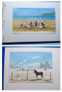 1989 1994 AUSTRALIAN TOURS in 29 Original Water Colour Paintings Manuscript Book  (4)