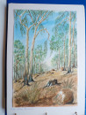 1989 1994 AUSTRALIAN TOURS in 29 Original Water Colour Paintings Manuscript Book  (11)