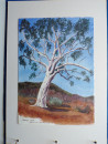 1989 1994 AUSTRALIAN TOURS in 29 Original Water Colour Paintings Manuscript Book  (17)