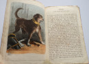 1858 1st THE FIREMAN and HIS DOG Firefighting RARE CHILDREN'S BOOK Hand Coloured  (4)