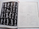 1914 Domenico Brucciani GREEK STATUE Sculptures Friezes Casts Trade Catalogue  (7)