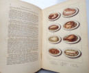 1875 Ellis's AMERICAN COOKERY BOOK Pastry Puddings Food Drinks Cooking Dinners  (7)