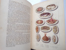 1875 Ellis's AMERICAN COOKERY BOOK Pastry Puddings Food Drinks Cooking Dinners  (9)