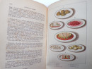 1875 Ellis's AMERICAN COOKERY BOOK Pastry Puddings Food Drinks Cooking Dinners  (17)