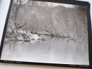 1953 Photographs Album FISHING on THE RIVER TORRIDGE DEVON Angling (8)