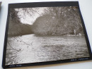 1953 Photographs Album FISHING on THE RIVER TORRIDGE DEVON Angling (10)