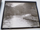 1953 Photographs Album FISHING on THE RIVER TORRIDGE DEVON Angling (12)