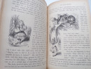 1898 ALICE'S ADVENTURES IN WONDERLAND & Sequel LEATHER BINDINGS Lewis Carroll  (12)