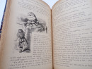 1898 ALICE'S ADVENTURES IN WONDERLAND & Sequel LEATHER BINDINGS Lewis Carroll  (20)