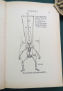 puppetry 2