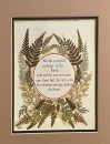 11 fern picture