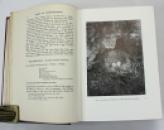 The Birds of Dumfriesshire, Hugh S. Gladstone, Numbered Limited Edition, 1910 IMG_9342