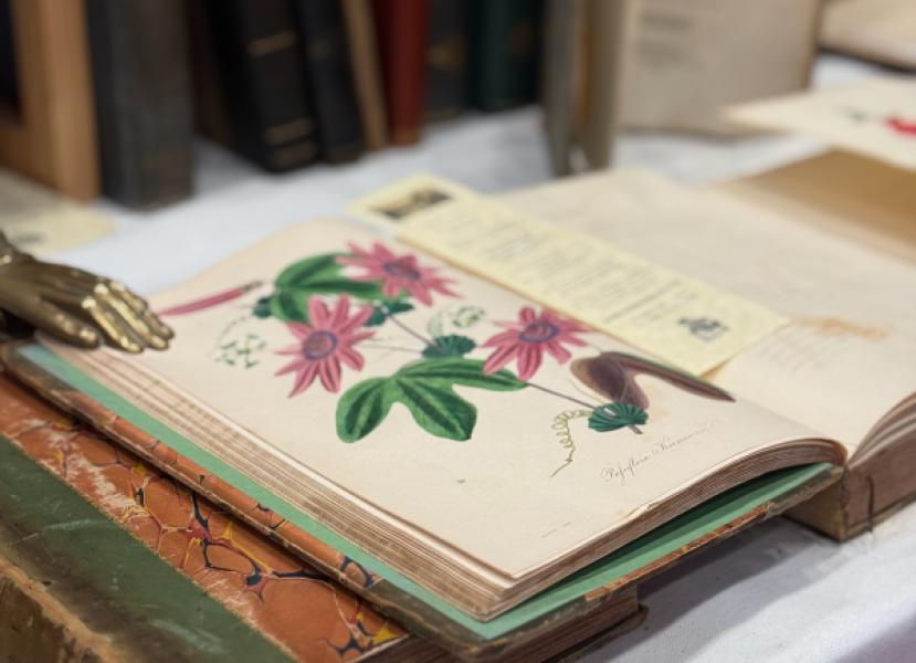 Garden book