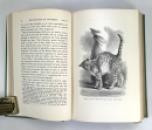 Charles Darwin; The Expression of the Emotions in Man and Animals, John Murray, 1904 IMG_7301