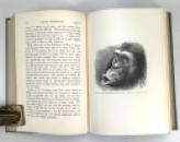 Charles Darwin; The Expression of the Emotions in Man and Animals, John Murray, 1904 IMG_7302