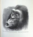 Charles Darwin; The Expression of the Emotions in Man and Animals, John Murray, 1904 IMG_7303