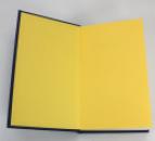 The Sunlight Pilgrims, Jenni Fagan, Signed, Doodled and Dated First Edition, 2016 IMG_9388