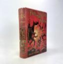 For The Flag, From the French of Jules Verne, by Mrs. Cashel Hoey, Sampson Low, 1897, first UK edition. IMG_8632