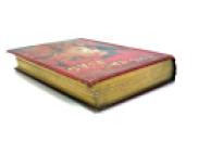 For The Flag, From the French of Jules Verne, by Mrs. Cashel Hoey, Sampson Low, 1897, first UK edition. IMG_8635