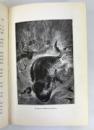 For The Flag, From the French of Jules Verne, by Mrs. Cashel Hoey, Sampson Low, 1897, first UK edition. IMG_8646