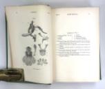 Charles Darwin; The Various Contrivances by Which Orchids are Fertilised by Insects, 1885, Second Edition, Revised, Fourth Thousand,John Murray IMG_7315
