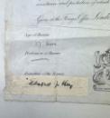 Original 1912 British Passport of Mr. Edmond John Hay, issued by Sir Edward Grey, 1st Viscount Grey of Fallodon, British Liberal Statesman and Ambassador to the United States IMG_8394