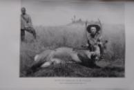 African Game Trails New.jpg7
