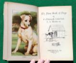 163 Nister Story Book of Dogs (23) x
