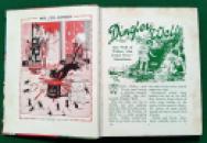 167 Bo Peep's Bumper Book 1934 (8) x