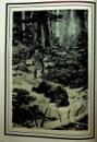 Picture23