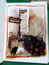 177 Steadman 2 cats in America (6) x