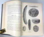 Forty Years' Researches in British and Saxon Burial Mounds of East Yorkshire, J.R. Mortimer, 1905 IMG_8882