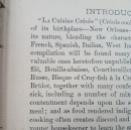 La Cuisine Creole 6