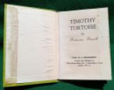 178 Timothy Tortoise (3)x