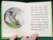 178 Timothy Tortoise (7)x