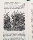 195 Reeves Strange Light  (7)x