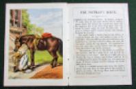 137 Horses by Herring x (2)
