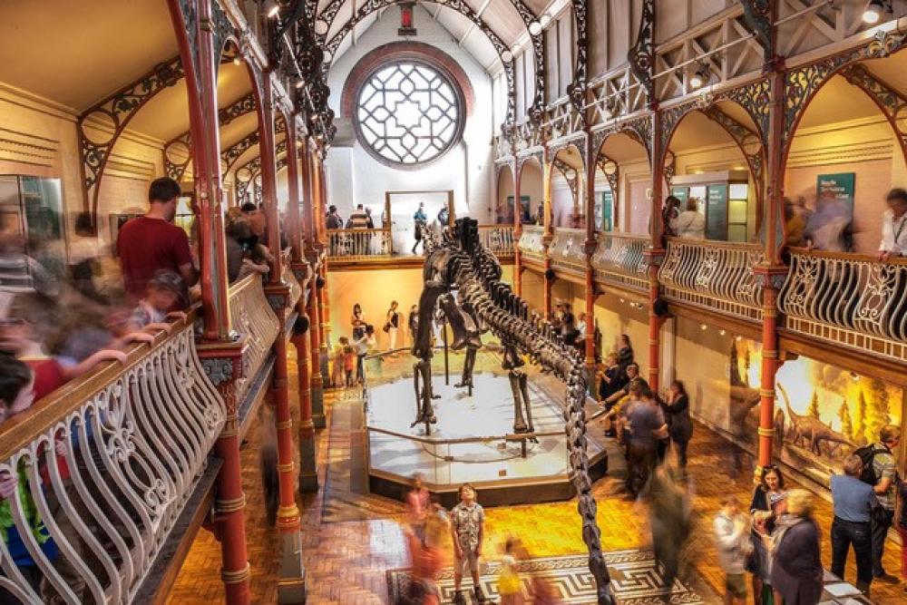 Dorchester Museum - main pic