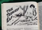 202 Fairies Album 1949 (1) x