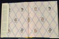 205 Brian Grimshaw The Ticklish Tiger (4) x