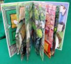 207 Fungus pop up (18) x