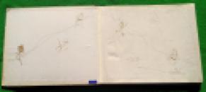 203 Nesbit rebellious dolls (6) x