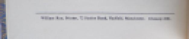 005168 THE FOUNTAIN by Celia Noble  (9)