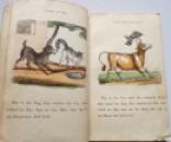 1847 Three Children's Chapbooks, One HAND COLOURED Little Dame Crump & Her Pig  (7)