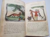1847 Three Children's Chapbooks, One HAND COLOURED Little Dame Crump & Her Pig  (10)