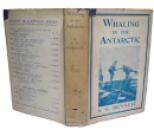 1931 WHALING in the ANTARCTIC Whales Polar Arctic Seas Fishing RARE DUSTJACKET  (2)