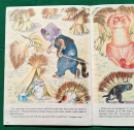 210 Hale Orlando Buys a Farm (9) x